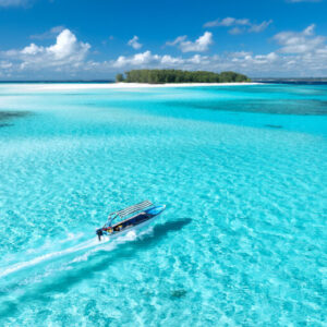 Mnemba Island Tour with Dolphin Watch