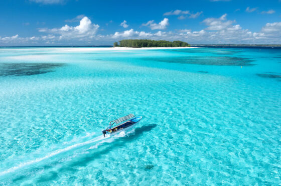 Mnemba Island Tour with Dolphin Watch