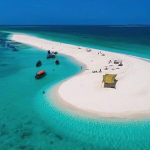 Safari Blue Tour | snorkeling with sea food lunch