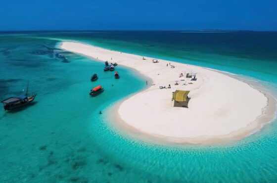 Safari Blue Tour | snorkeling with sea food lunch