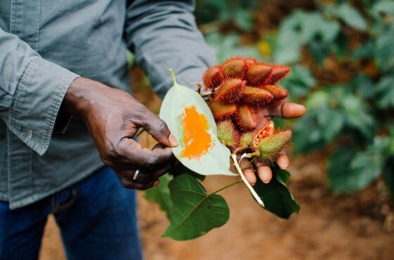 Spice Farm and Stone Town Tours
